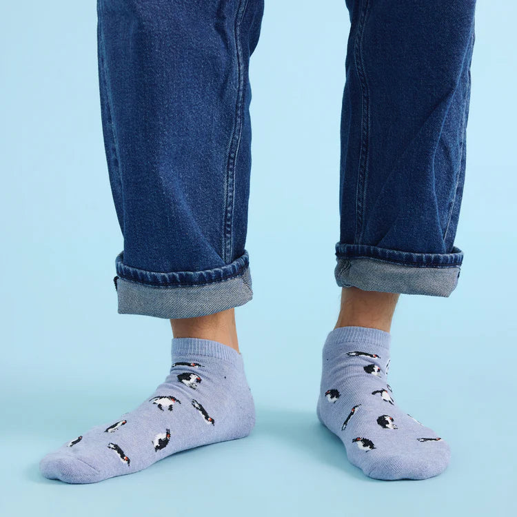 Socks that Protect Penguins